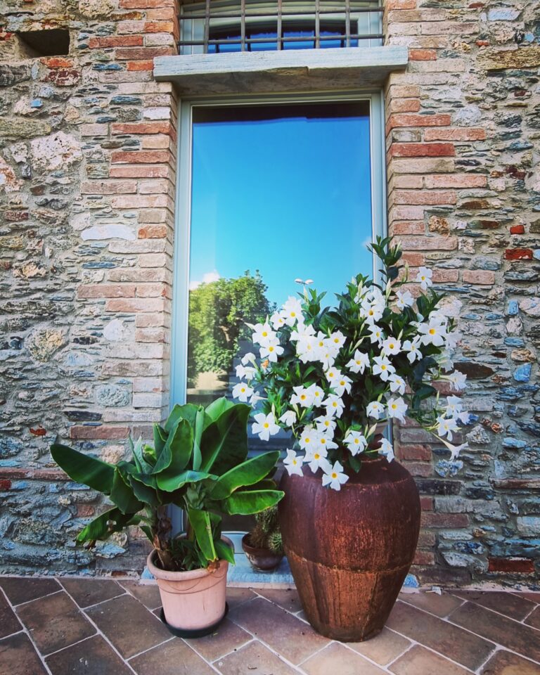 Esterni e giardino del Casale 1918, B&B a Pietrasanta